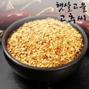 메론 장아찌 담그는 법/ 장아찌 간장 사용후기