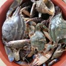 마리나민박 이미지