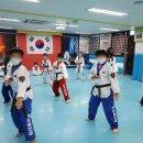 용인대 튼튼 태권도 이미지