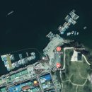 오천항 바이킹호 정보 및 농어낚시 출항후기!