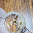 서시래연화마을 이미지