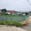 증1리경로당 이미지