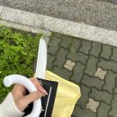 백현동 하브케이커리 쌀케이크 후기 | 감성 가득한 기념일 생일 케이크 찾는다면? (내돈내산)