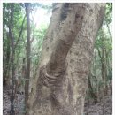 선흘 그곳 이미지