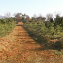 운곡 농장 이미지