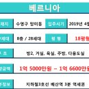 베르니아 이미지