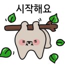 나이스노래연습장 이미지