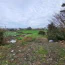 토생금공인중개사사무소 이미지