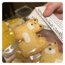 네모강아지 이미지