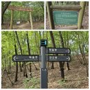 산본로451 이미지