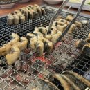 풍천장어 을가람 이미지