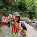 무지개독 이미지