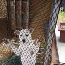 (주)들녘 이미지