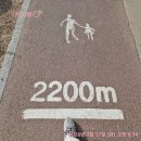 2026,3,17ㅡ오늘은 ㅡ아싸 이미지