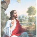 (주)사랑으로 이미지