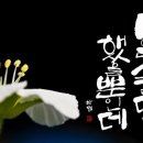 인상문자예술연구소