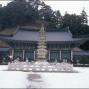 봉성집민박