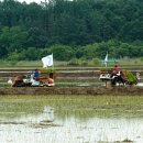 홍수농장 이미지