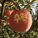 고암농장 이미지