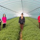 환산농장 이미지