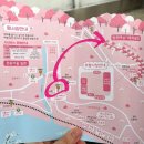 매화농원 | 양산 원동 매화축제 후기 미나리삼겹살은 예경농원 3번집이 짱!