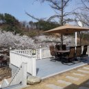 대가야 캐슬펜션 이미지