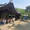시현유치원 | 우리들 자연학교 5월 13일 시현 유치원 봄 체험 후기