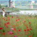 상월보건지소 이미지