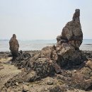 경기둘레길 안산51코스 이미지