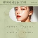 라힐에스떼고양지축