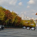 시청광장입구 이미지