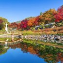 제천시민회관 | 제천 단풍 명소 추천 배론성지 한적한 힐링 여행지