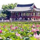 피향정가든 네이버블로그