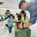 김종성 농장 이미지