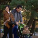 보석비빔밥 이미지