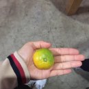 규용농장 이미지