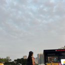 [2023 펜타포트 후기] 자유로운 나~~~~