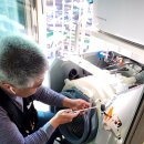 완도읍-9 이미지