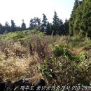 하예동-5 이미지