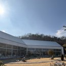 숲속애견샵 | 함안 대형 카페 숲필 창원근교 베이커리맛집 아이랑 가기 좋은 카페 방갈로 애견동반가능