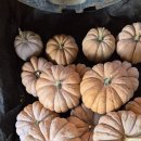 맷돌로1 이미지