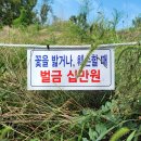 서해랑길 47코스 이미지