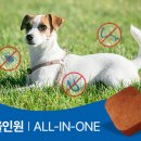 아주그린약국 이미지