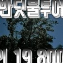 디프리투어 이미지