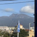 맨도롱 | 제주 서귀포 현지 맛집 추천 | 맨도롱 해장국(겡이국·보말국) 솔직 후기