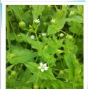 자연과아이들 이미지