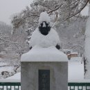 송설 이미지