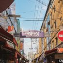 하남-신장-신장5호 이미지