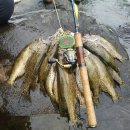 (주)명품자동차공업사 이미지