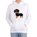 허쉬퍼피 이미지